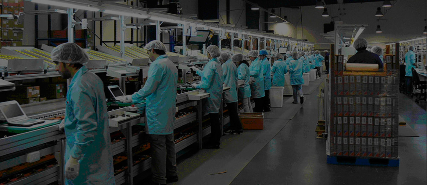 Calidad y mejora de procesos